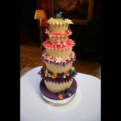 Cupcake Wonderland